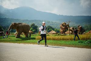 BIB: 
                            <button type="button" onclick="openModal(22434156)" class="btn btn-primary btn-sm float-right btn-popup" data-toggle="modal" data-target=".modal-high-quality">
                        <i class="fas fa-shopping-cart"></i> Add to Cart
                    </button>
                                            <button type="button" onclick="isThisMe(22434156, true)" class="btn btn-success btn-sm float-right btn-popup btn-isme hidden" data-toggle="tooltip" data-placement="bottom" title="นี่คือรูปของคุณใช่ไหม คลิกที่นี่เพื่อเอาเข้าอัลบั้ม">
                        <i class="fas fa-plus"></i> Add to album
                    </button>
                    <button type="button" onclick="isThisMe(22434156, false)" class="btn btn-warning btn-sm float-right btn-popup btn-isnotme hidden">
                        <i class="fas fa-ban"></i> Remove from album
                    </button>